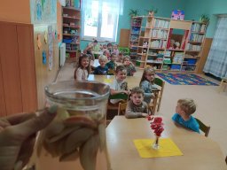 zari ve skolce 03